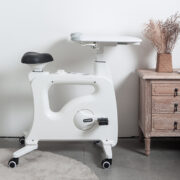 Flexispot Cycle Desk Bike V9 Pro