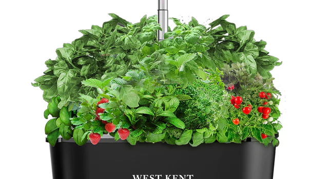West Kent 15 Pod Indoor Smart Garden Hydroponic Growing System