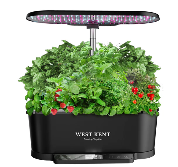 West Kent 15 Pod Indoor Smart Garden Hydroponic Growing System