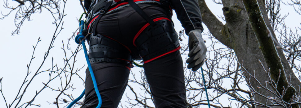 Teufelberger treeMOTION® Pro X