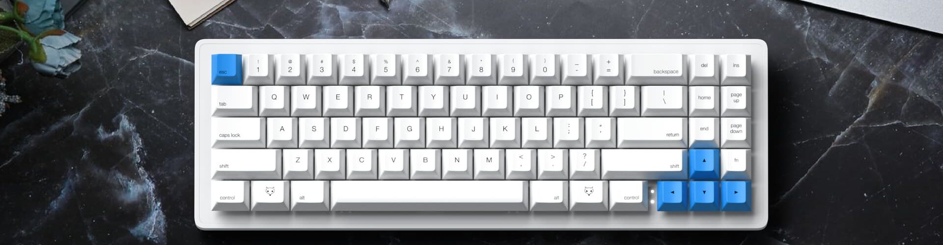 Alpaca Keyboards WhiteFox Eclipse