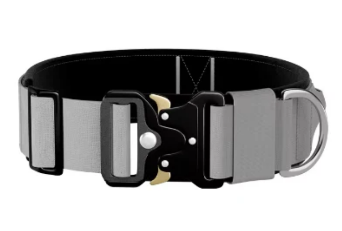 Love Dog Collar 2‑inch Tactical Collar