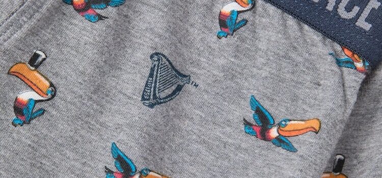 Fatface Grey Guinness Boxers in a Gift Box