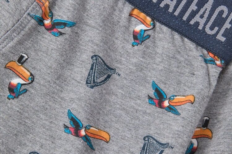 Fatface Grey Guinness Boxers in a Gift Box