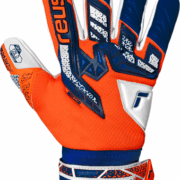 Reusch Attrakt Freegel Gold NC