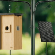 Birdfy Nest