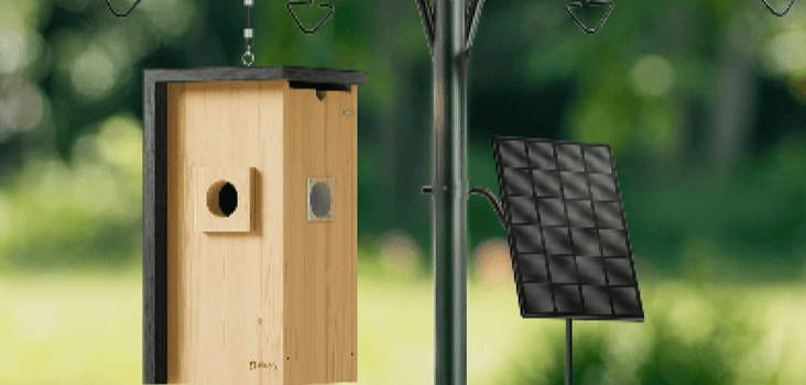 Birdfy Nest