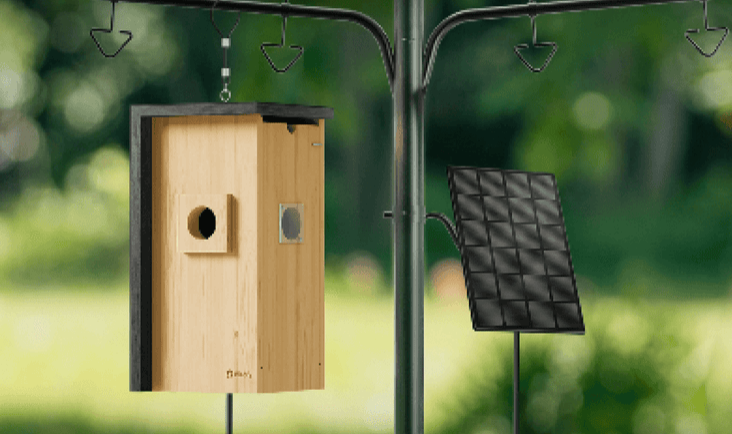 Birdfy Nest