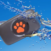 PitPat GPS Dog Tracker