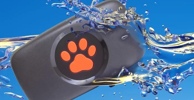 PitPat GPS Dog Tracker