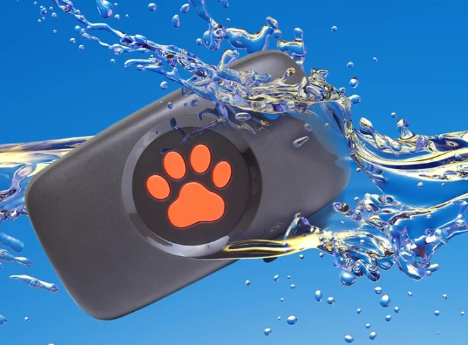 PitPat GPS Dog Tracker