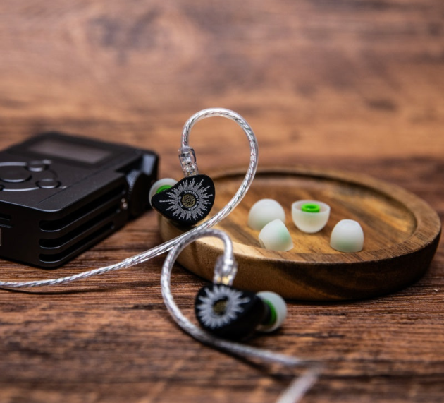 Kiwi Ears x B_Media: Chorus