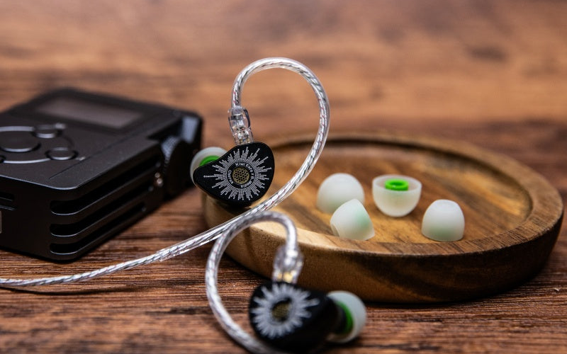 Kiwi Ears x B_Media: Chorus