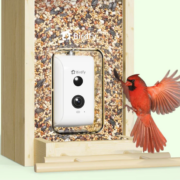 Birdfy Feeder Ebony – Wooden Smart Bird Feeder
