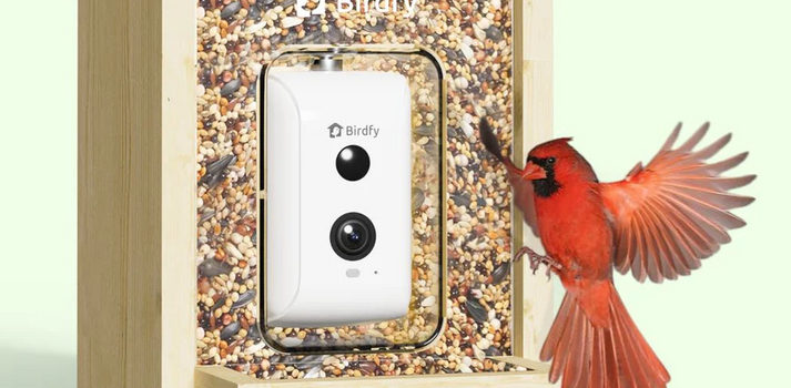 Birdfy Feeder Ebony – Wooden Smart Bird Feeder