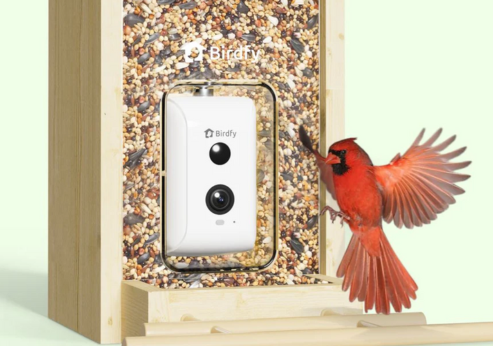 Birdfy Feeder Ebony – Wooden Smart Bird Feeder